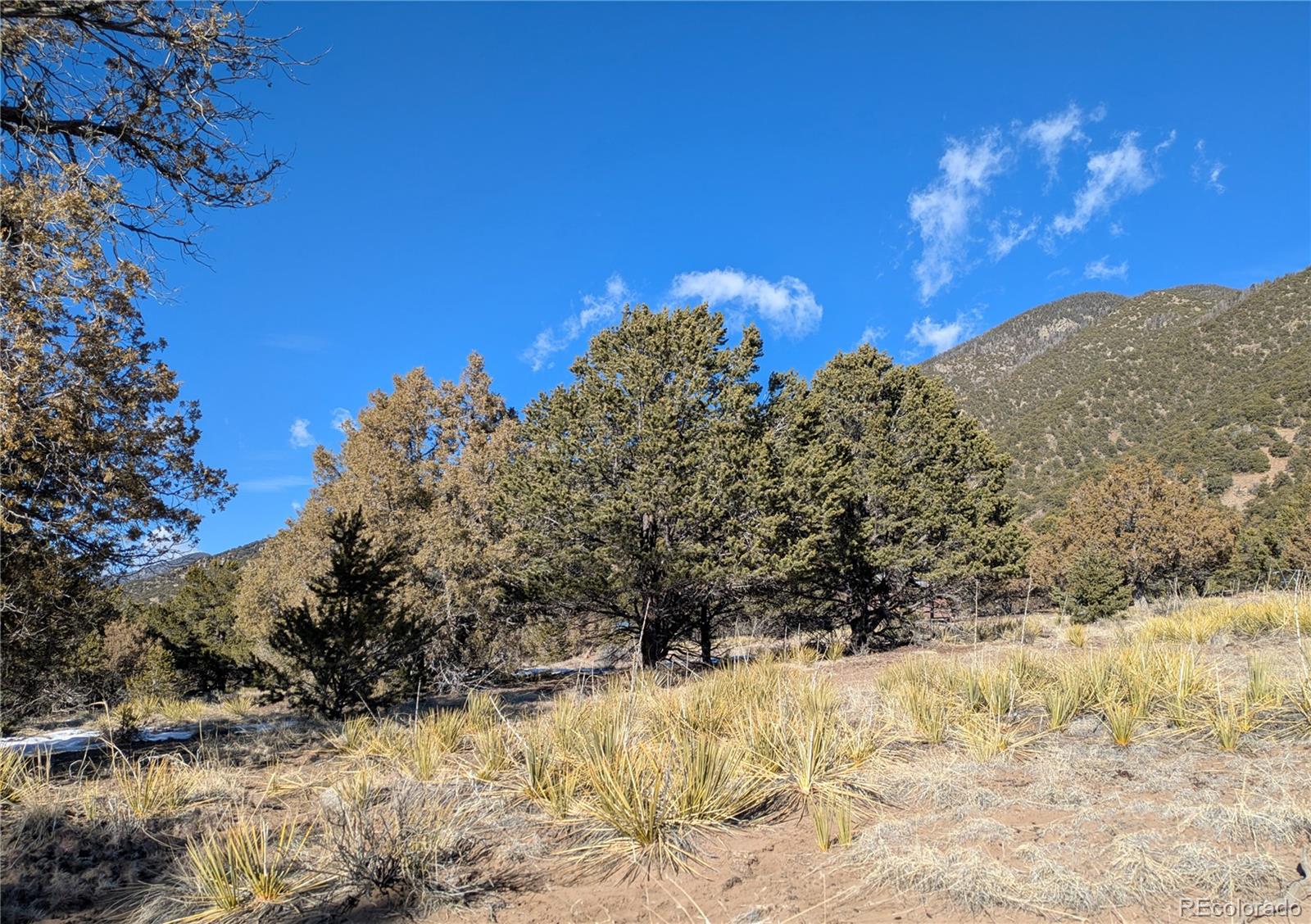 4229 Radiant Crestone CO 81131