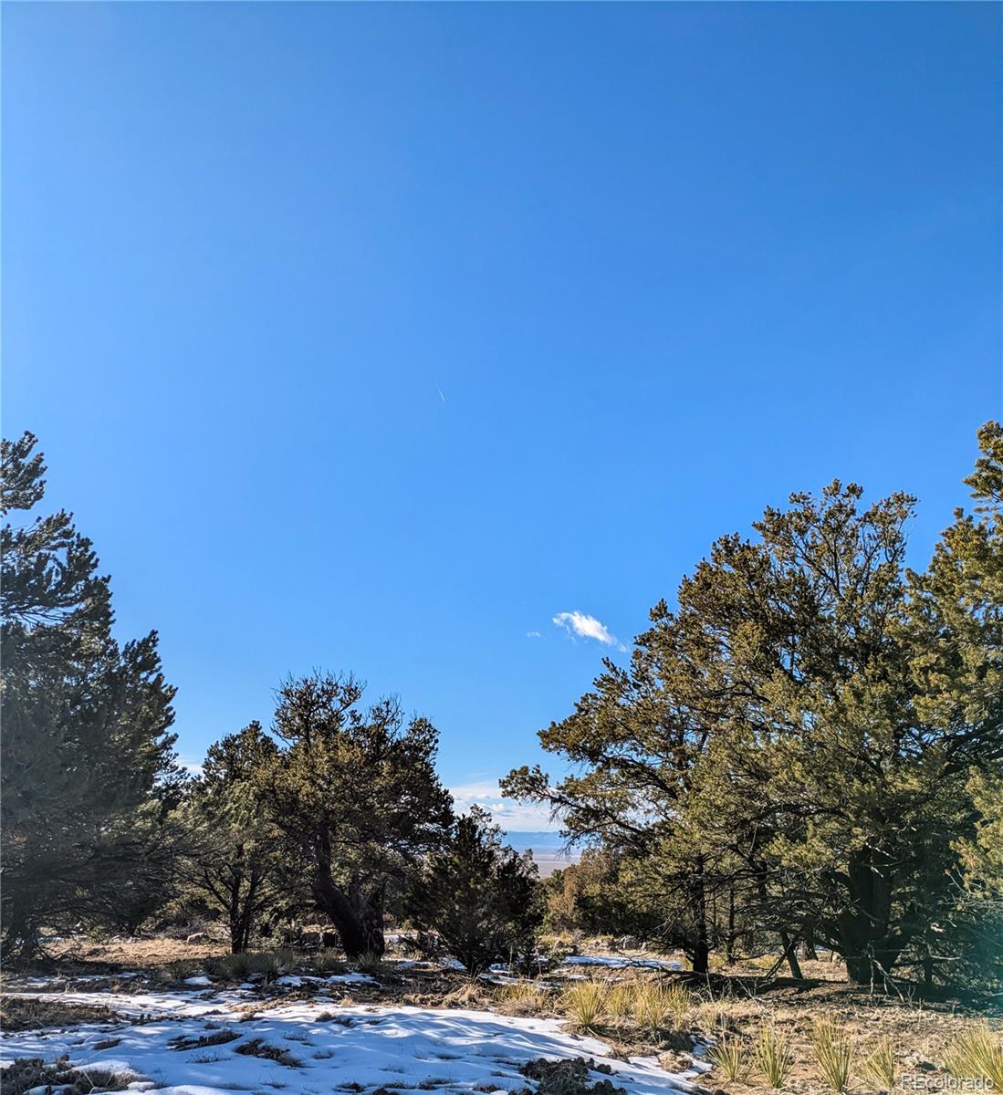 4229 Radiant Crestone CO 81131