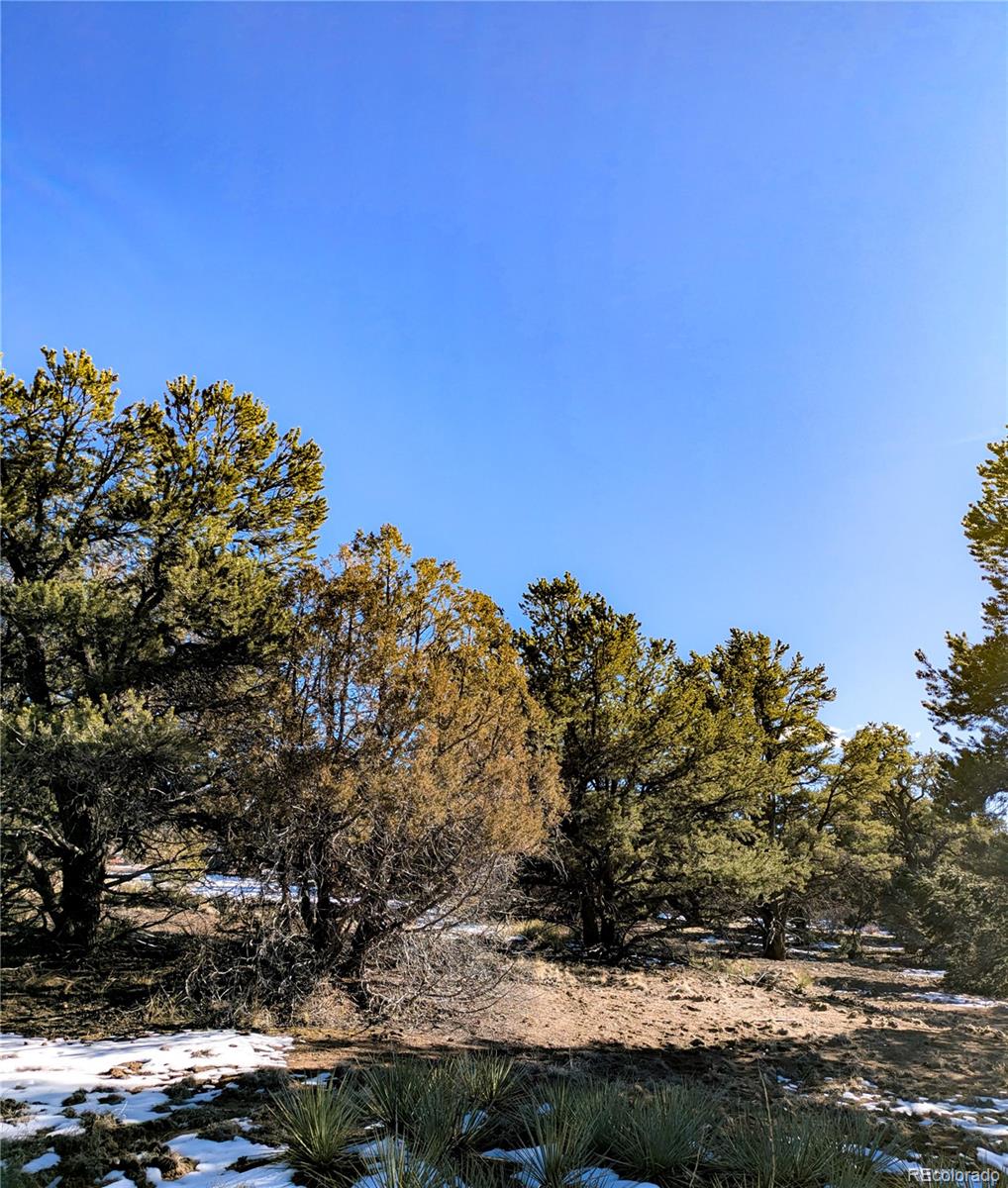 4229 Radiant Crestone CO 81131