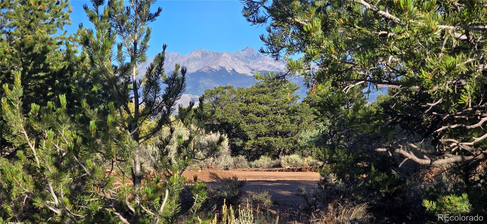 Lot 7381 Platten Road Fort Garland CO 81133