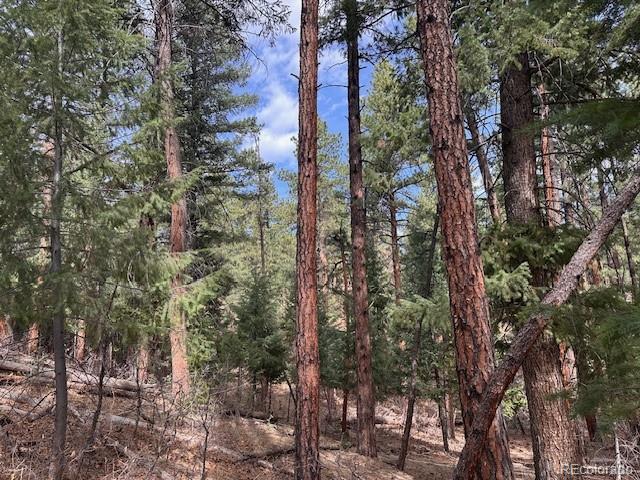 8169 Bannock Drive Larkspur CO 80118