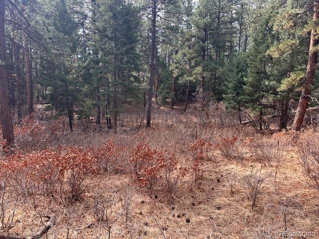 8169 Bannock Drive Larkspur CO 80118