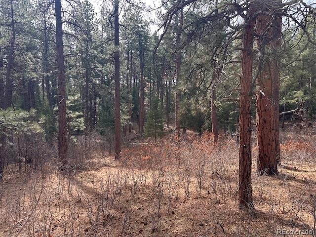 8169 Bannock Drive Larkspur CO 80118