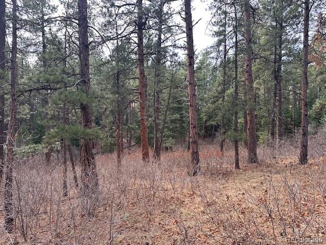 8169 Bannock Drive Larkspur CO 80118