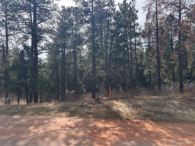 8169 Bannock Drive Larkspur CO 80118