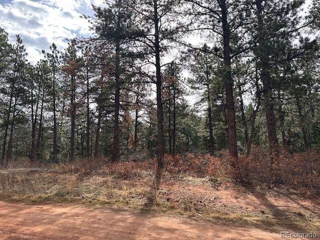 8169 Bannock Drive Larkspur CO 80118