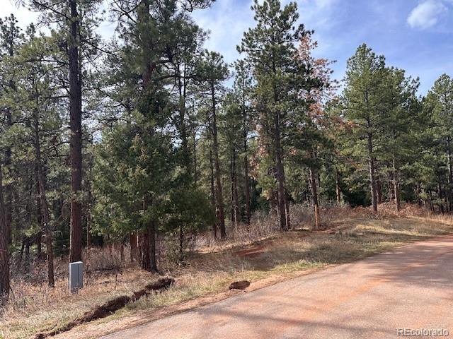 8169 Bannock Drive Larkspur CO 80118