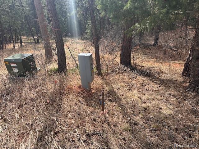 8169 Bannock Drive Larkspur CO 80118