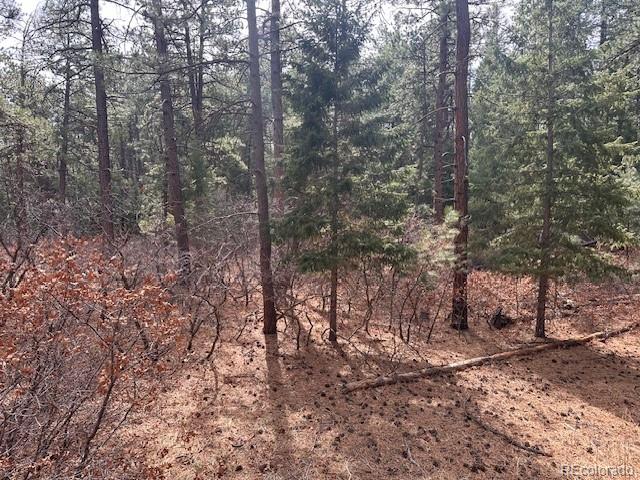 8169 Bannock Drive Larkspur CO 80118