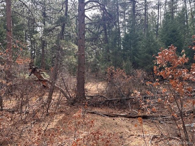 8169 Bannock Drive Larkspur CO 80118