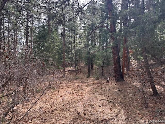 8169 Bannock Drive Larkspur CO 80118