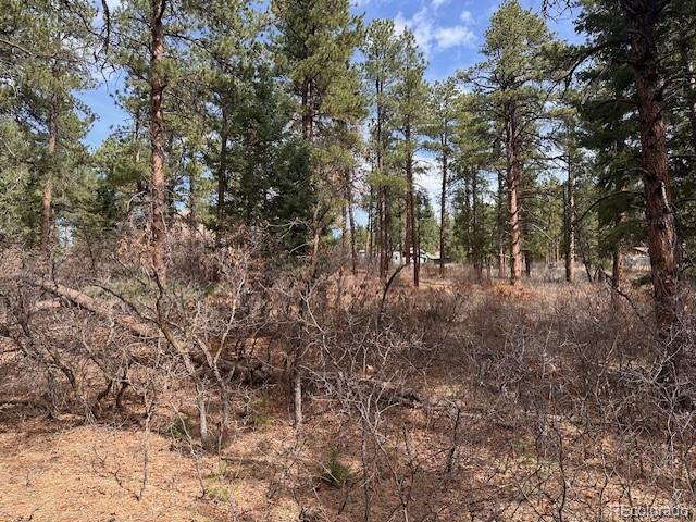8169 Bannock Drive Larkspur CO 80118