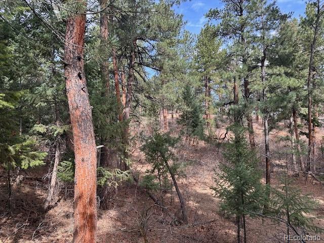 8169 Bannock Drive Larkspur CO 80118