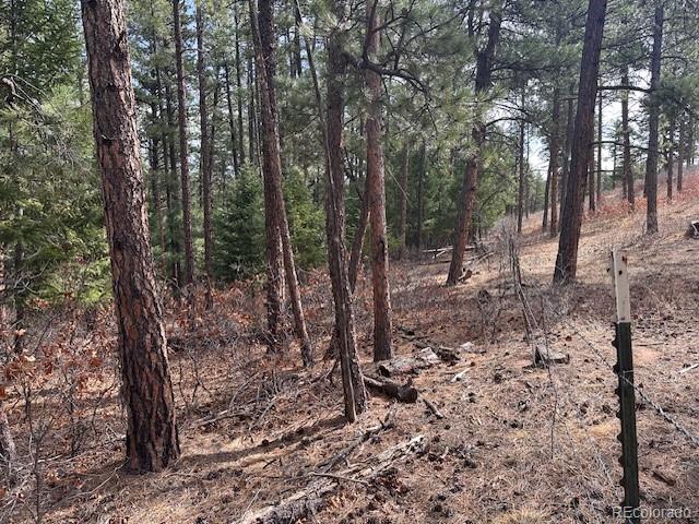 8169 Bannock Drive Larkspur CO 80118