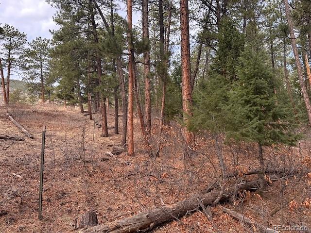 8169 Bannock Drive Larkspur CO 80118