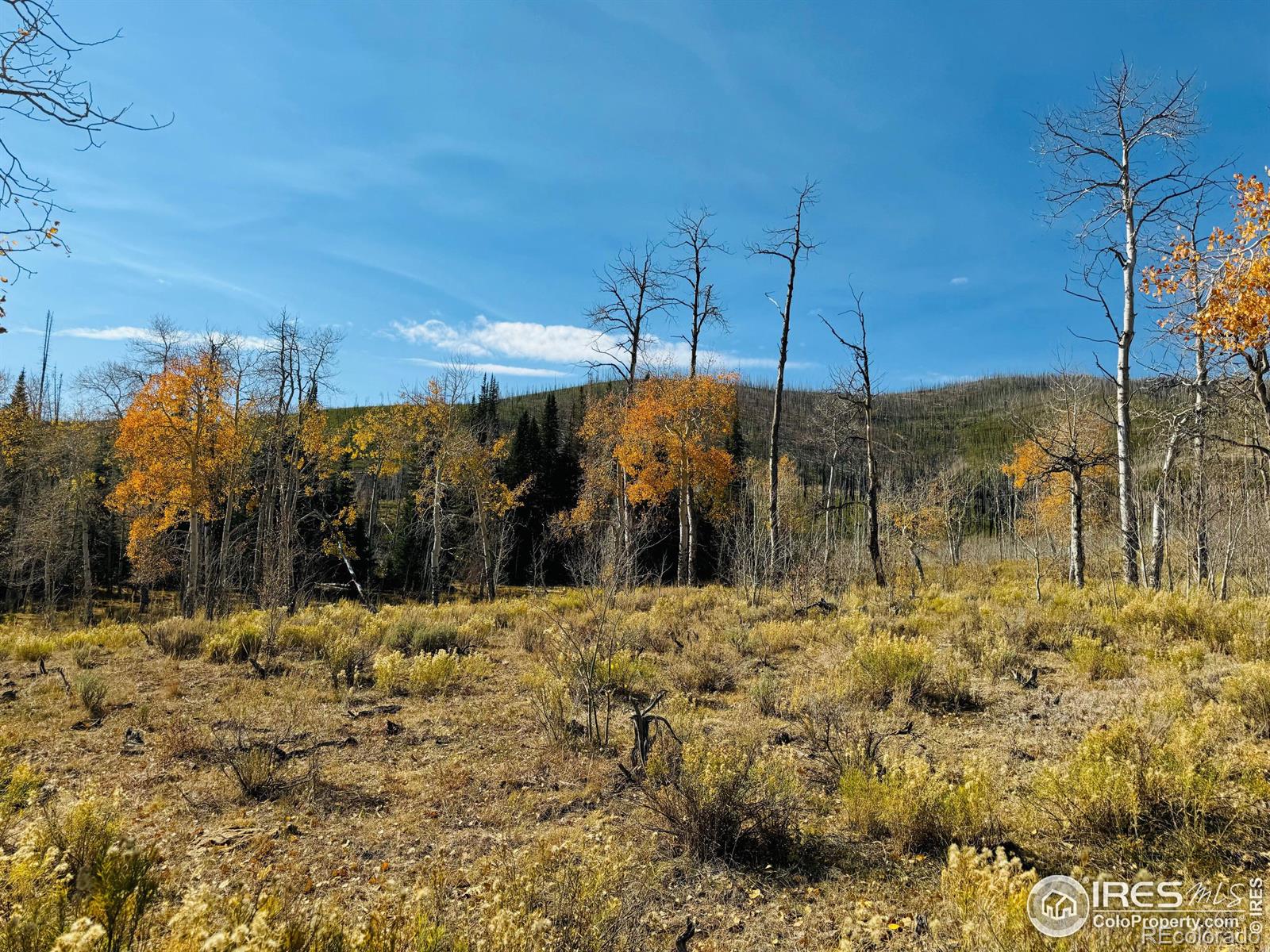 0 Parsons Draw Road Walden CO 80480