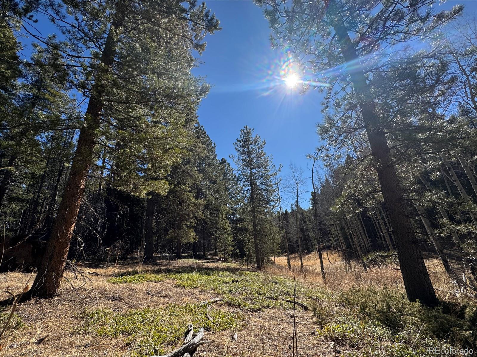Lot 14x Wallace Avenue Conifer CO 80433