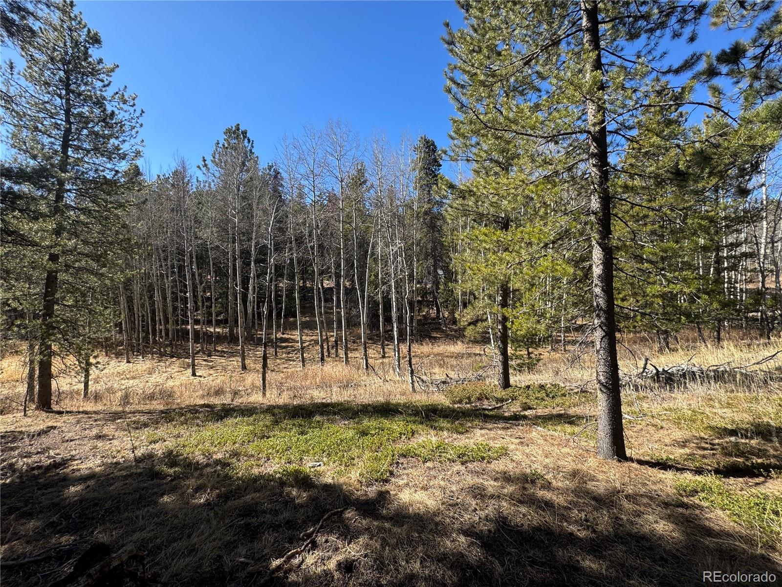 Lot 14x Wallace Avenue Conifer CO 80433