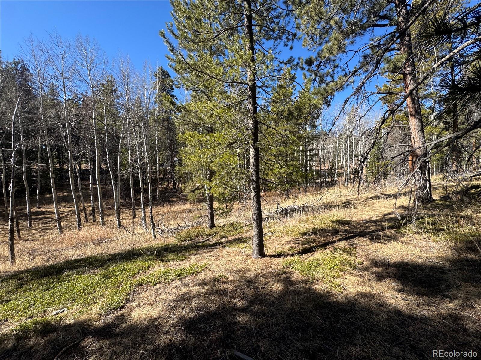 Lot 14x Wallace Avenue Conifer CO 80433