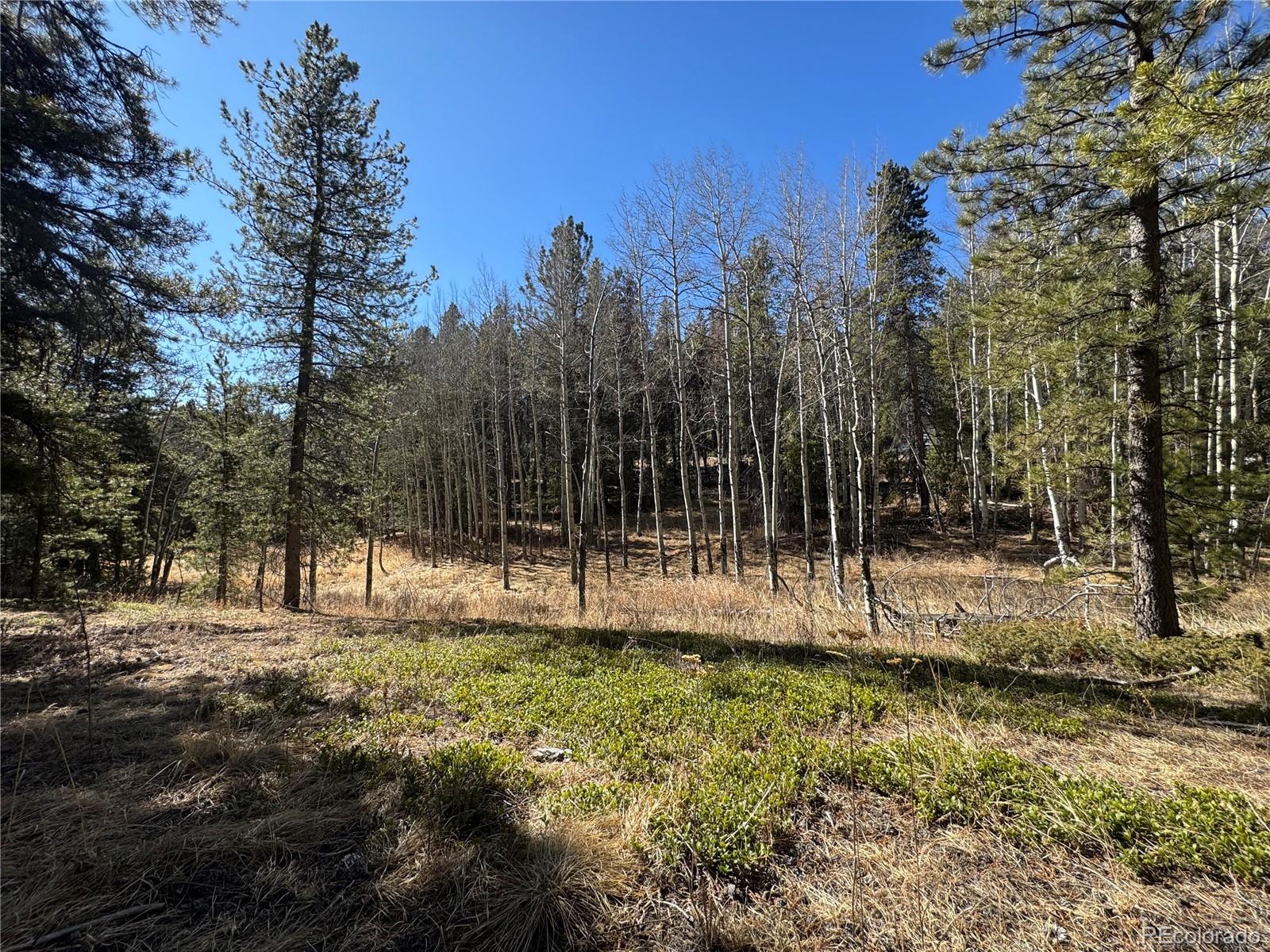 Lot 14x Wallace Avenue Conifer CO 80433