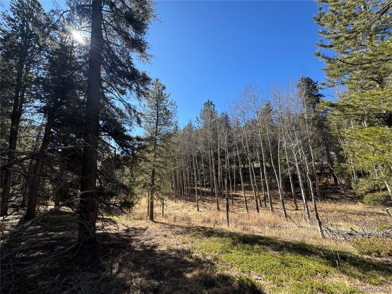 Lot 14x Wallace Avenue Conifer CO 80433
