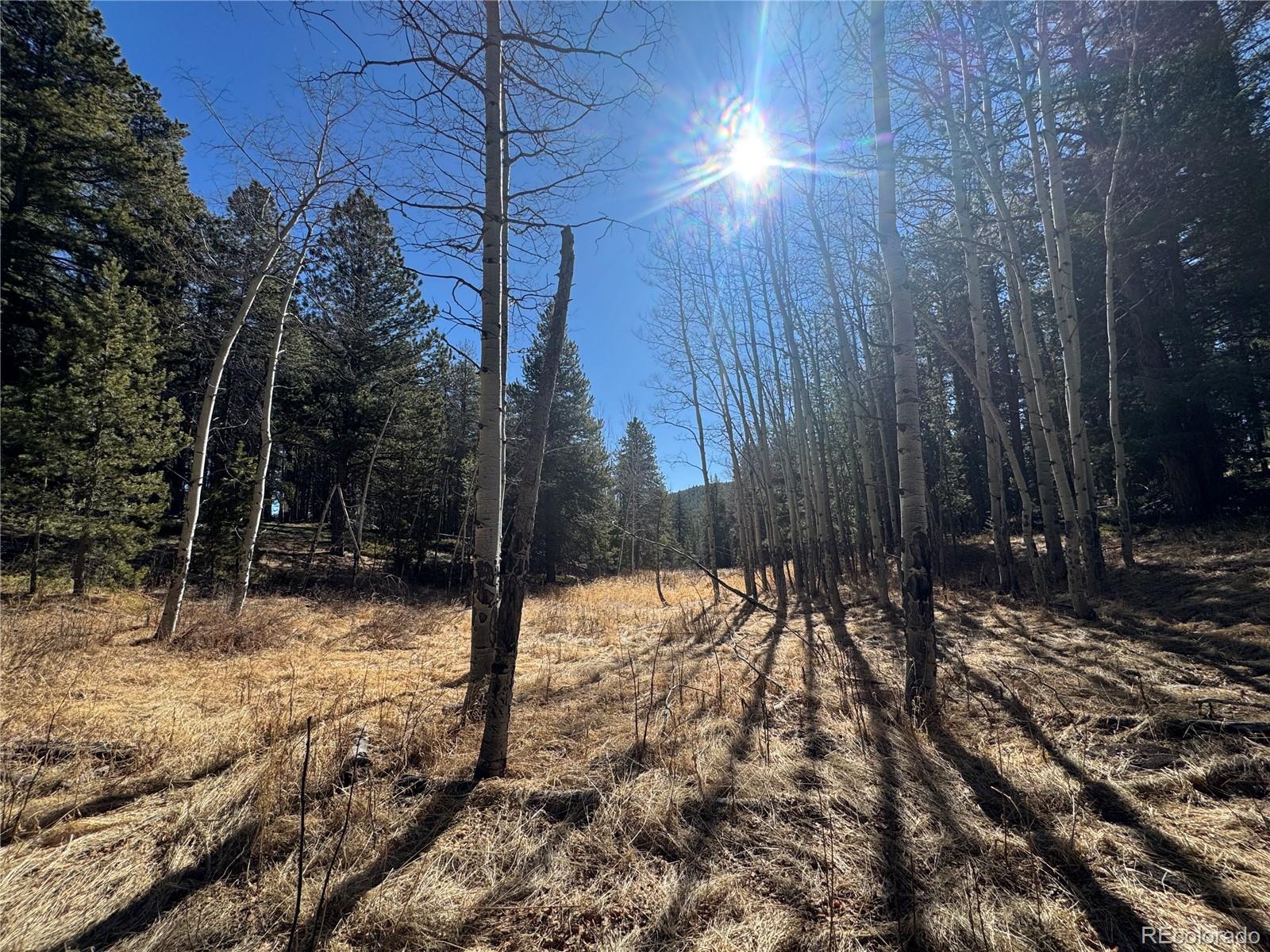 Lot 14x Wallace Avenue Conifer CO 80433