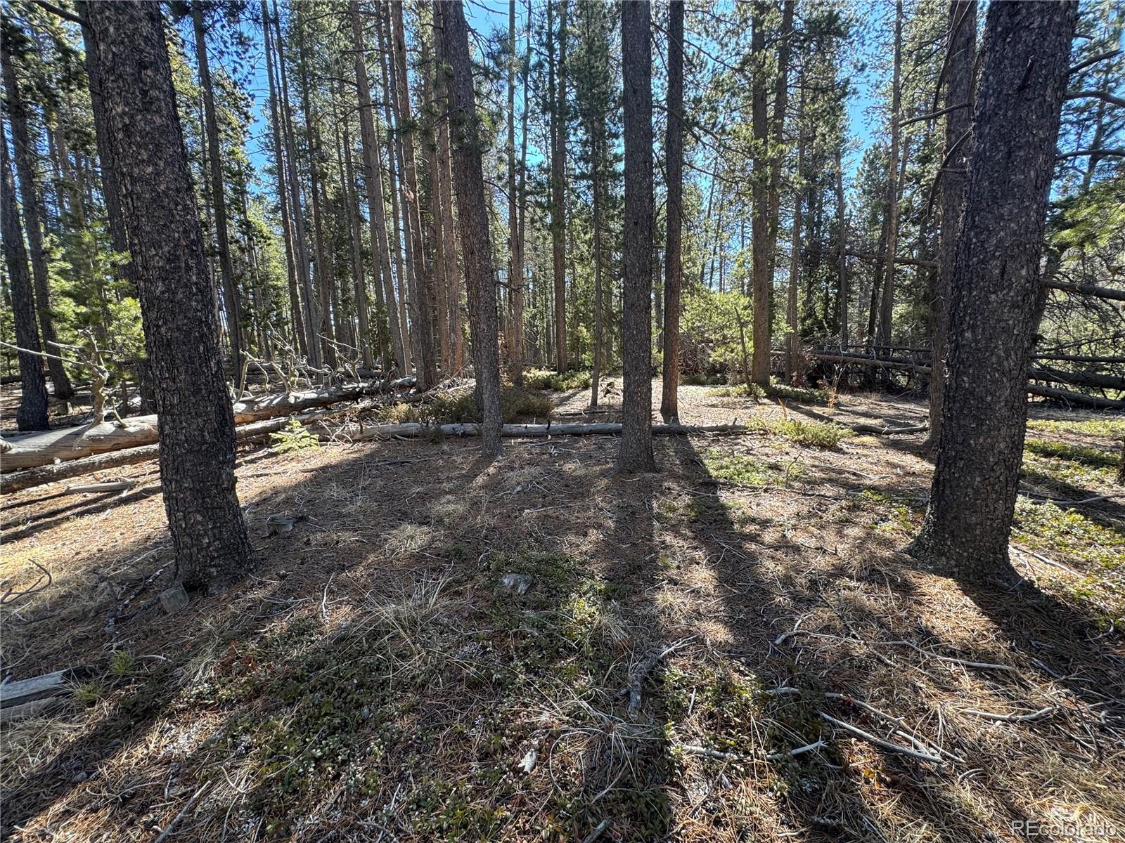 Lot 14x Wallace Avenue Conifer CO 80433