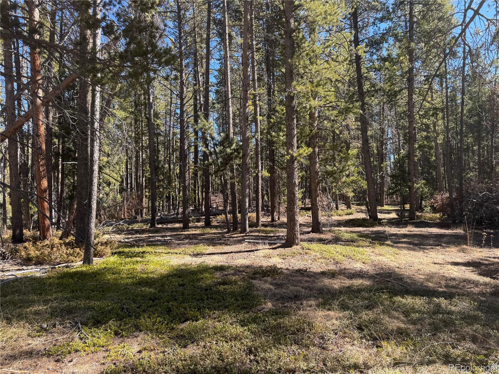 Lot 14x Wallace Avenue Conifer CO 80433