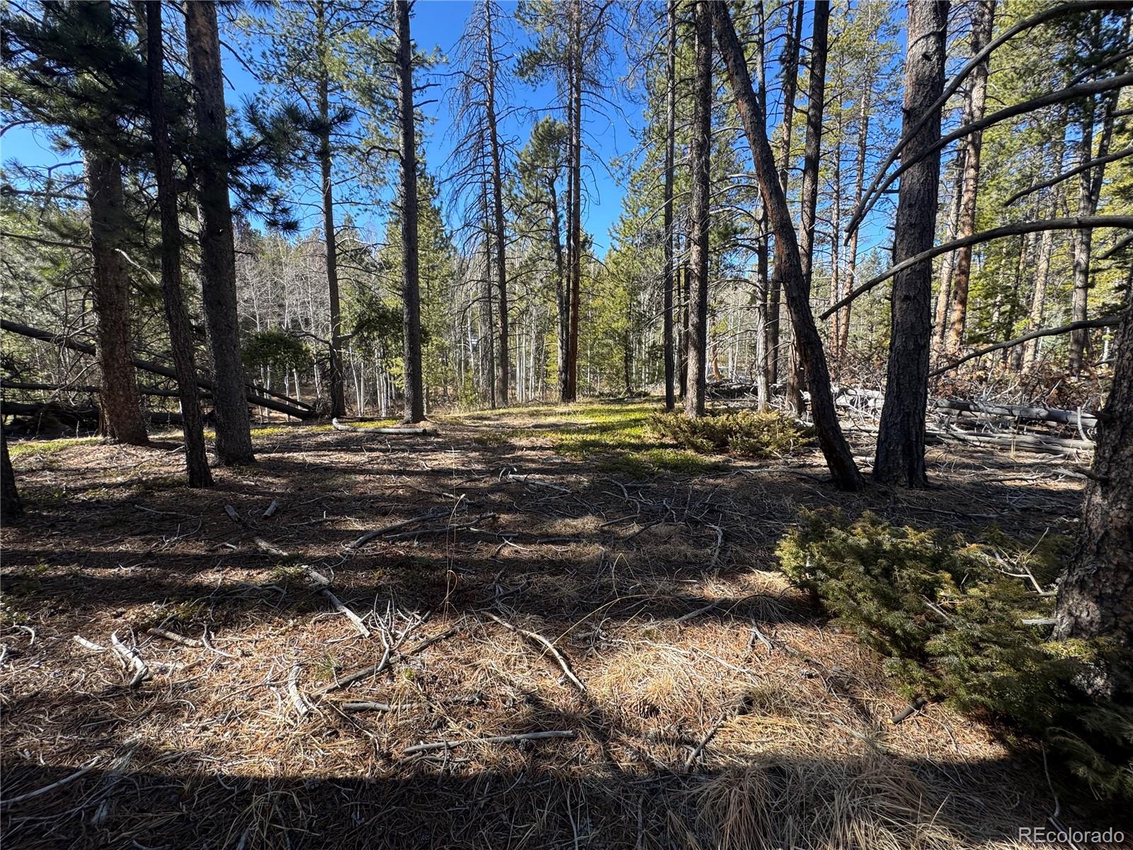 Lot 14x Wallace Avenue Conifer CO 80433