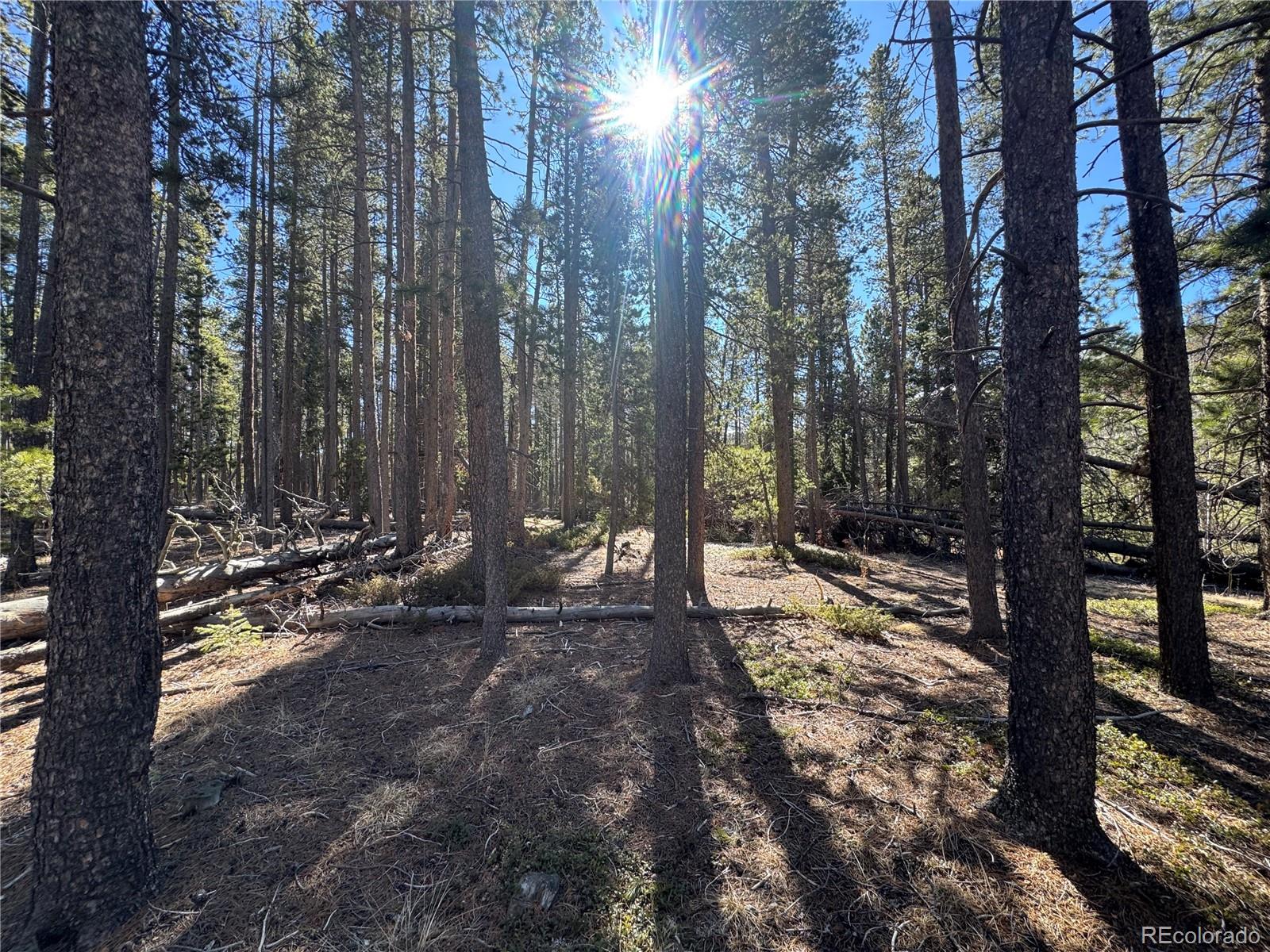 Lot 14x Wallace Avenue Conifer CO 80433