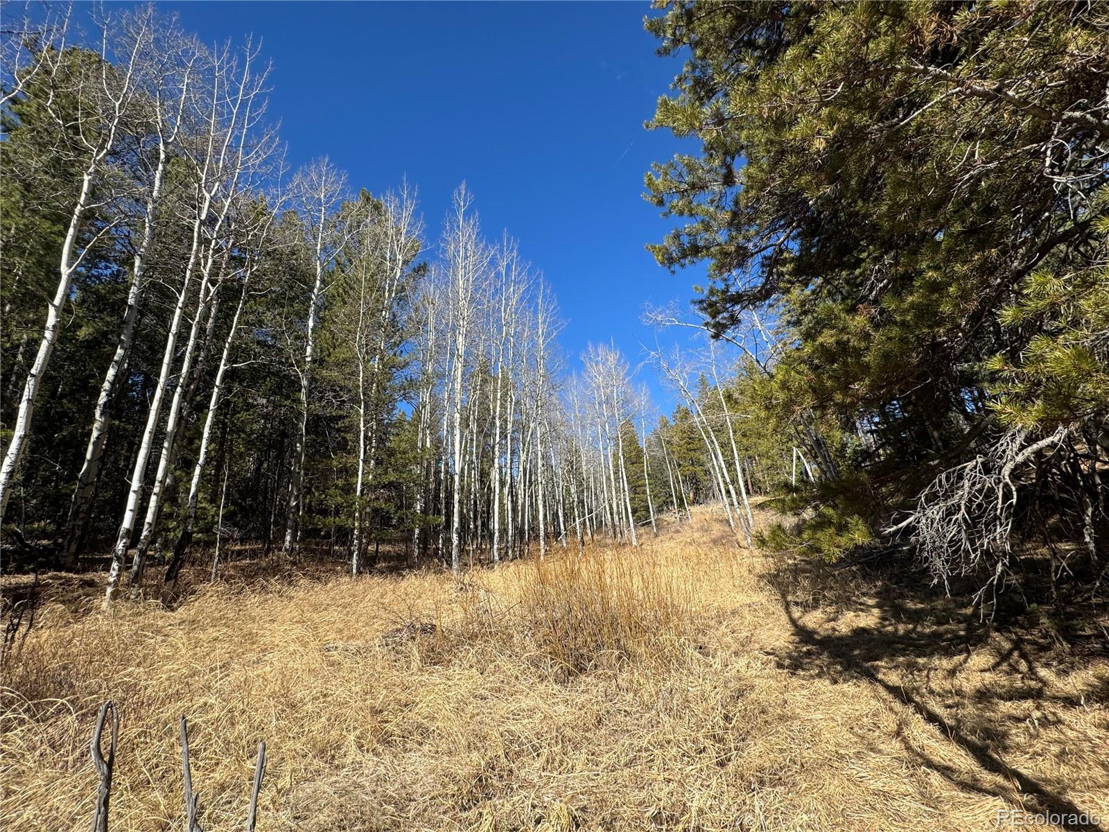 Lot 14x Wallace Avenue Conifer CO 80433