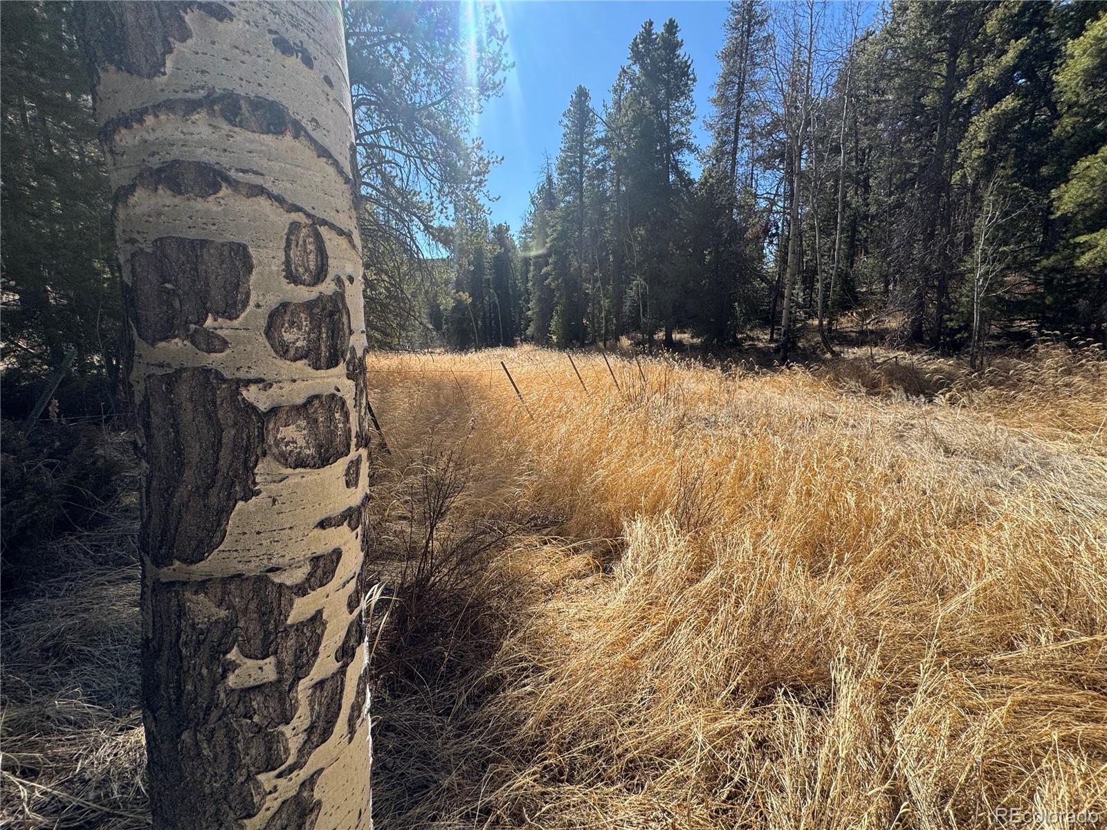 Lot 14x Wallace Avenue Conifer CO 80433