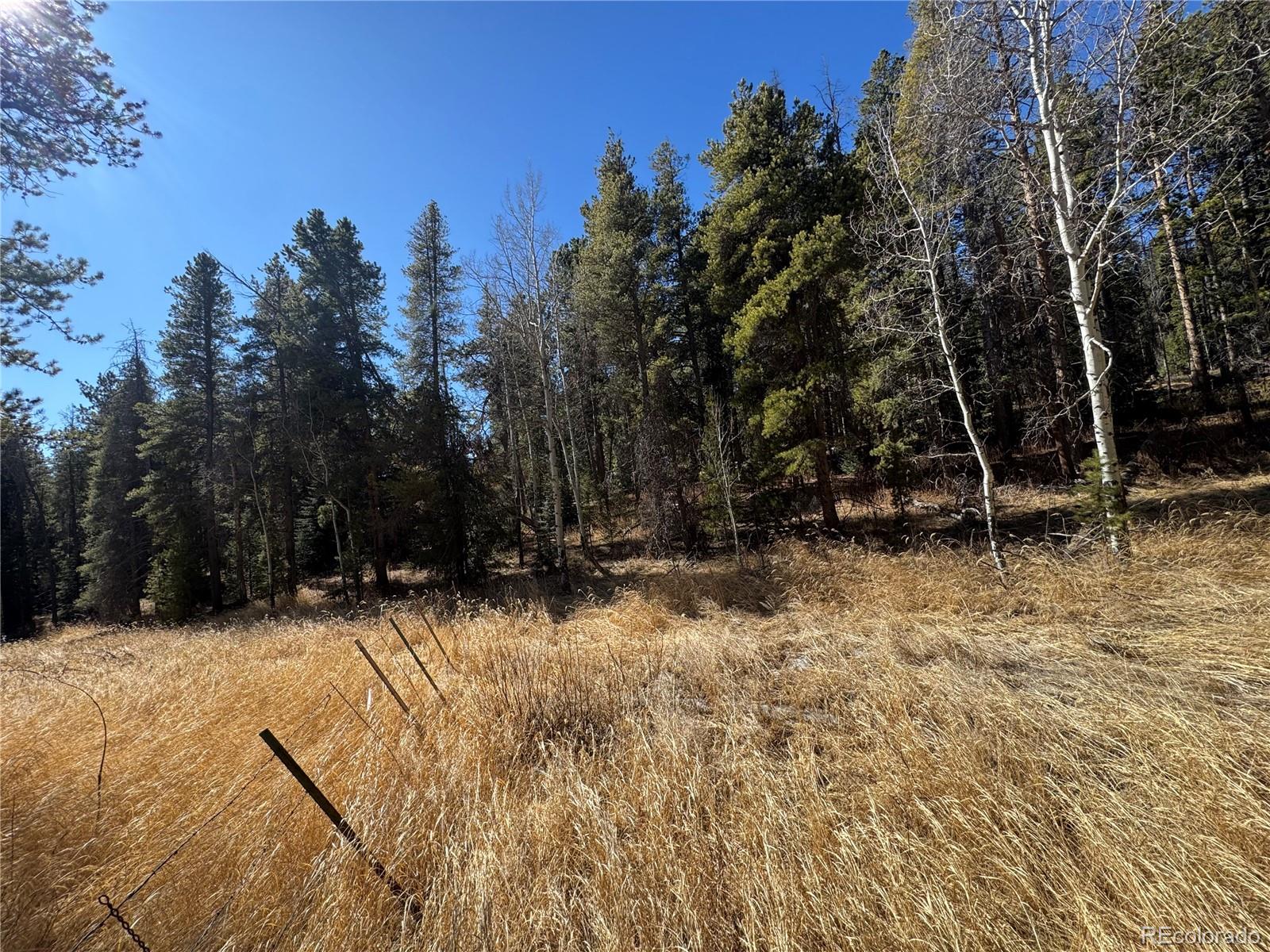 Lot 14x Wallace Avenue Conifer CO 80433