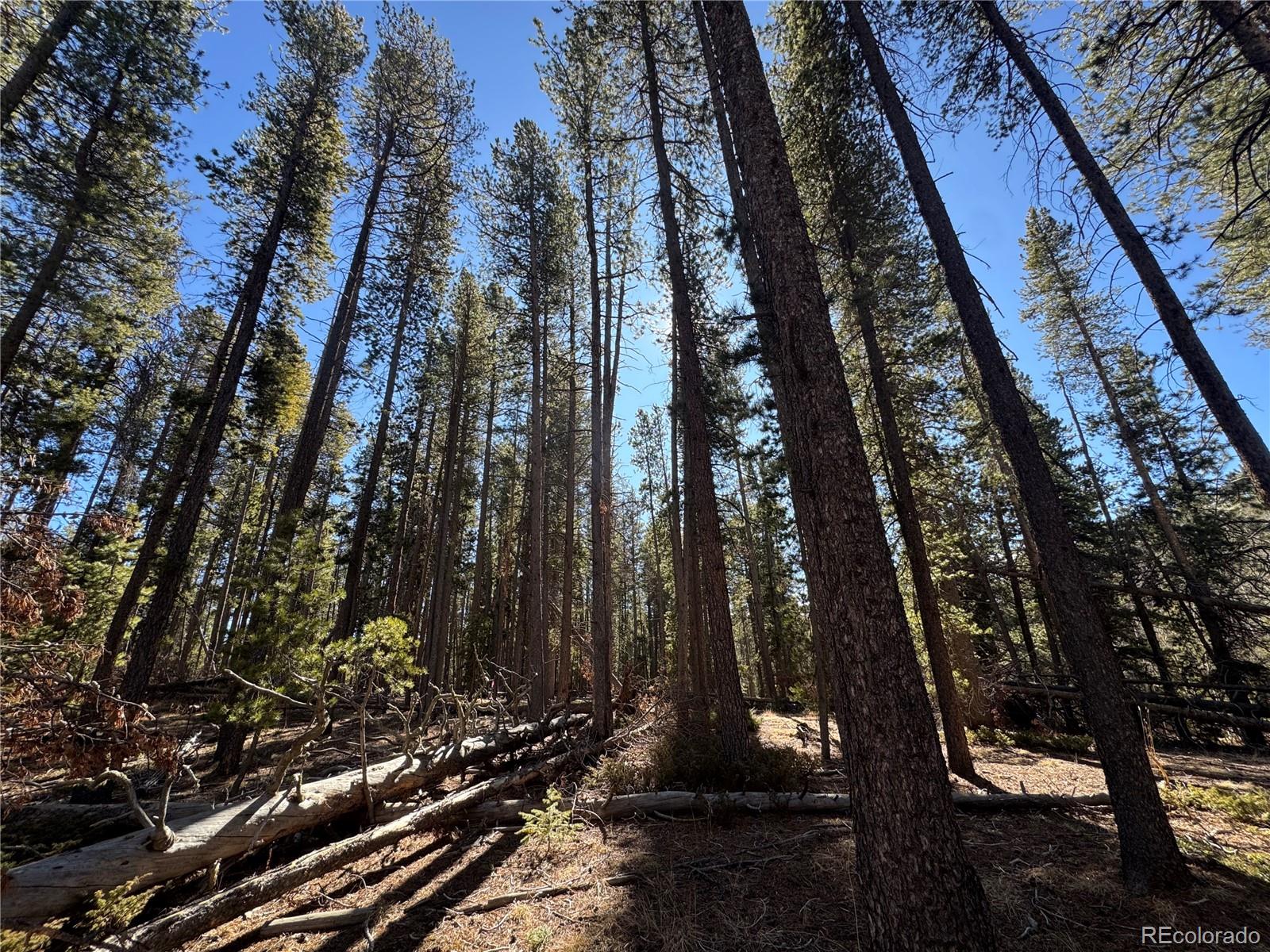 Lot 14x Wallace Avenue Conifer CO 80433