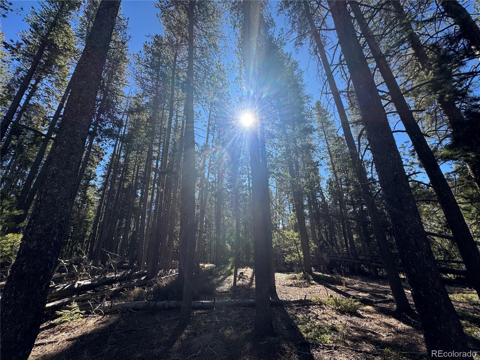 Lot 14x Wallace Avenue Conifer CO 80433