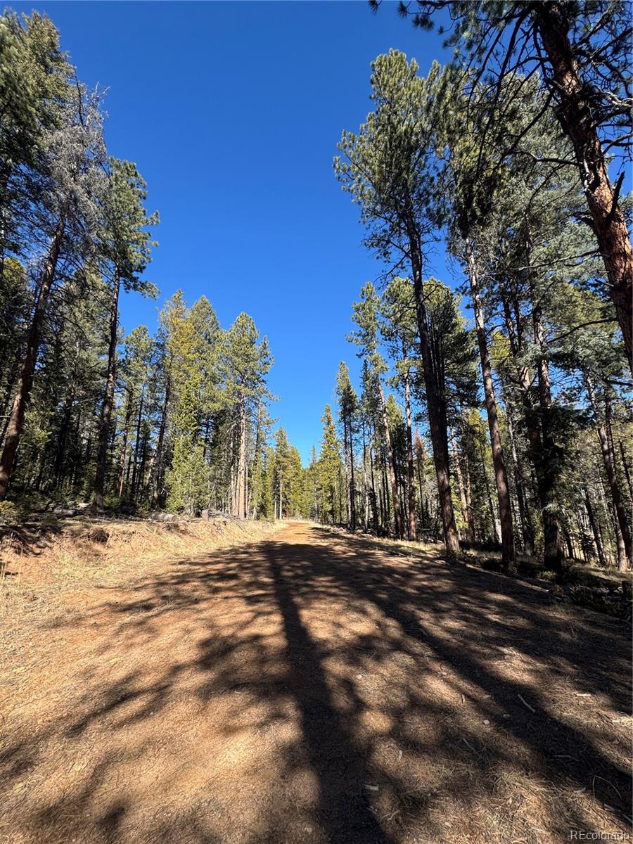 Lot 14x Wallace Avenue Conifer CO 80433