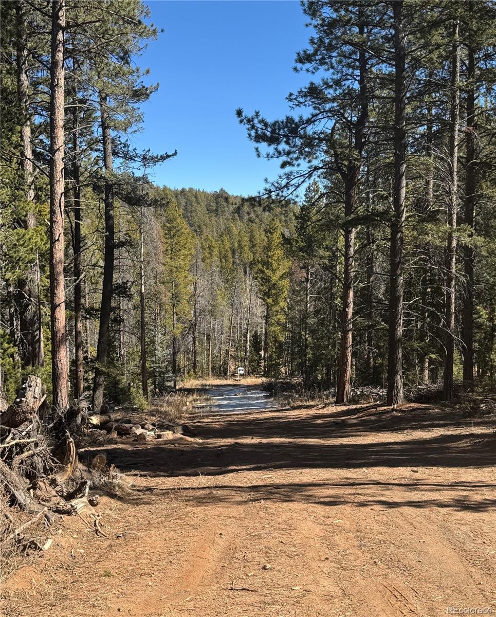 Lot 14x Wallace Avenue Conifer CO 80433