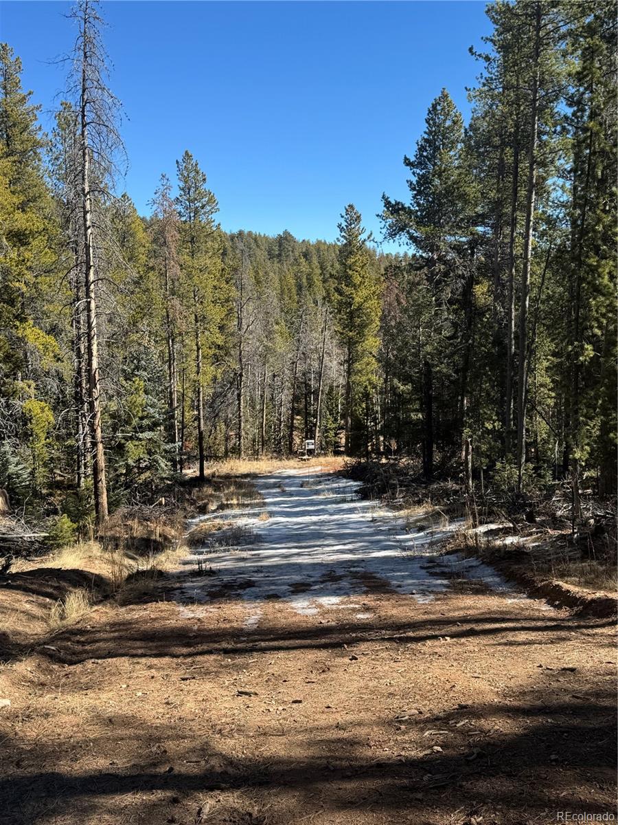Lot 14x Wallace Avenue Conifer CO 80433