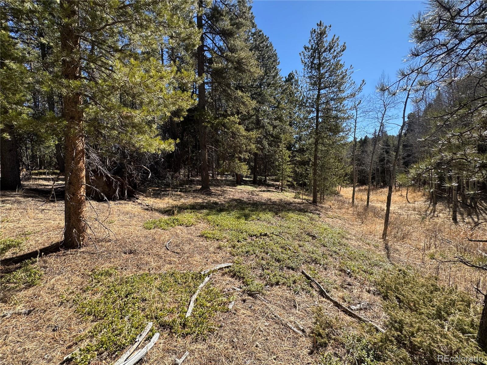 Lot 14x Wallace Avenue Conifer CO 80433