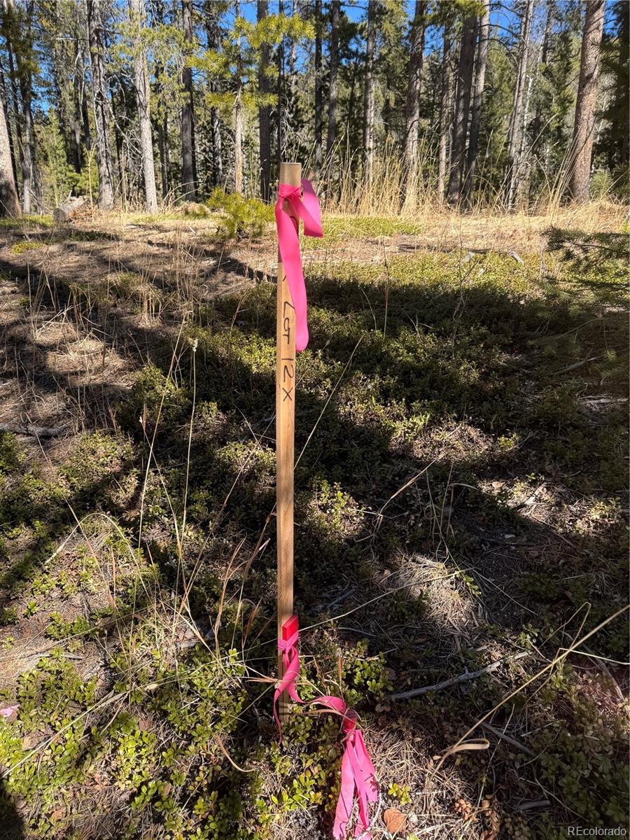 Lot 14x Wallace Avenue Conifer CO 80433