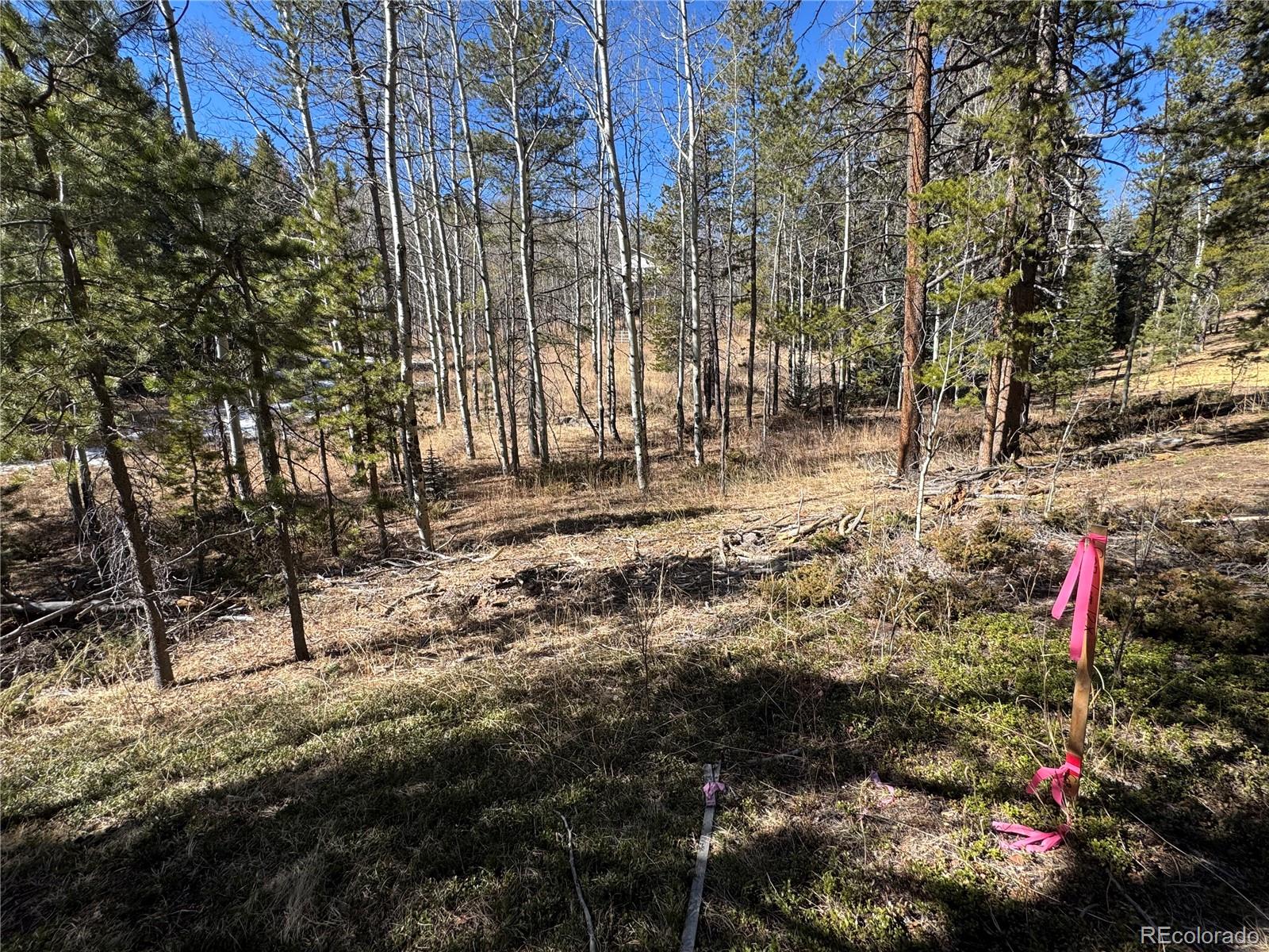 Lot 14x Wallace Avenue Conifer CO 80433