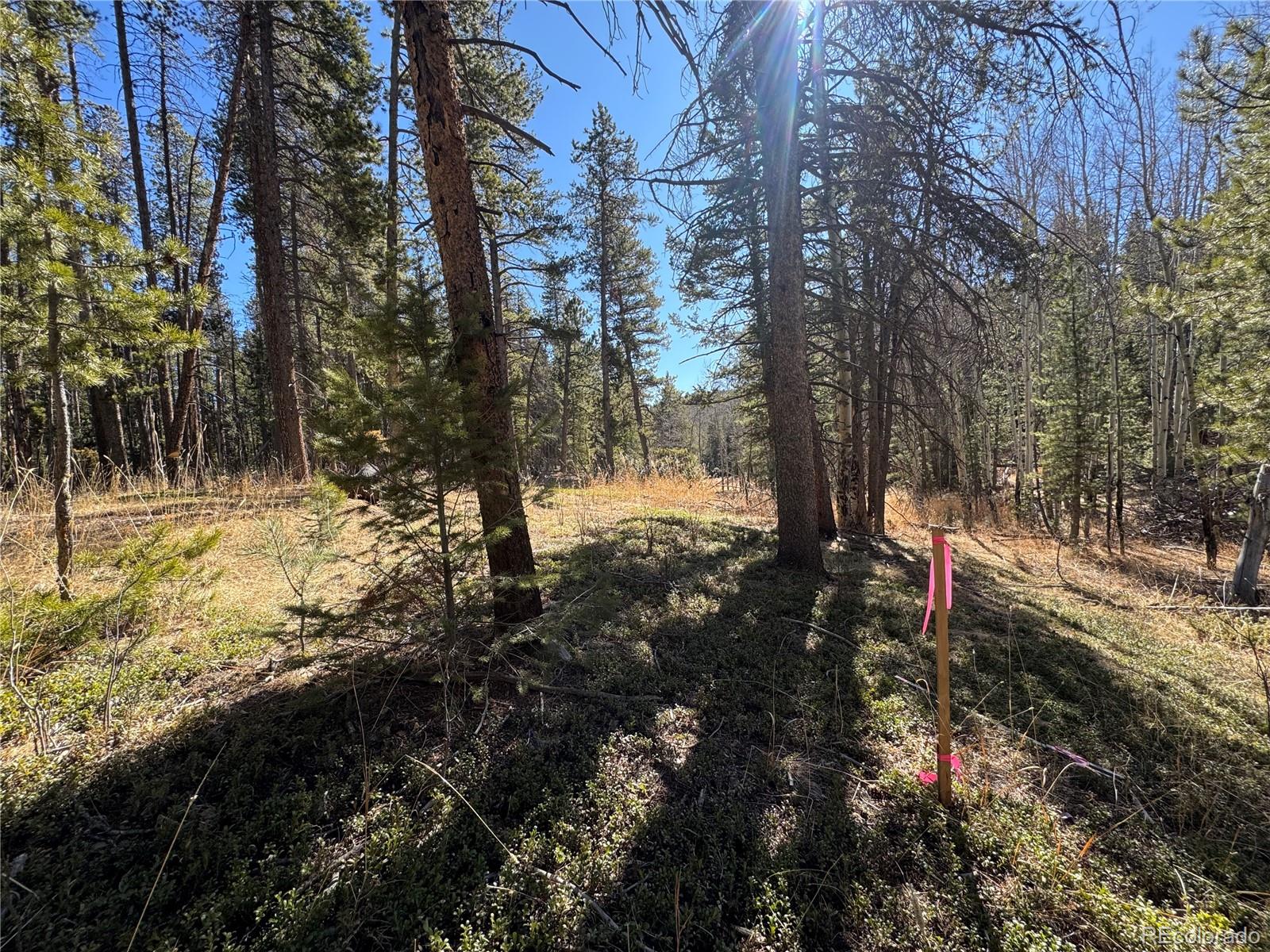 Lot 14x Wallace Avenue Conifer CO 80433
