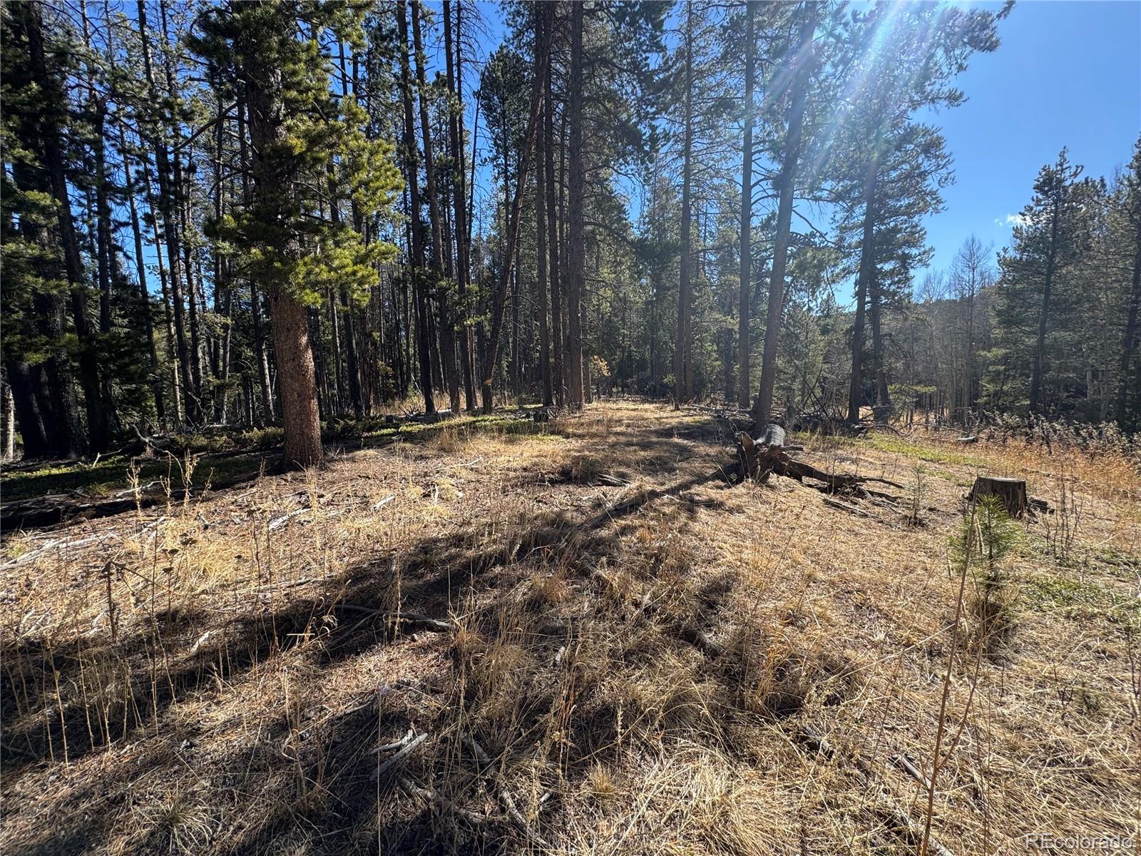 Lot 14x Wallace Avenue Conifer CO 80433