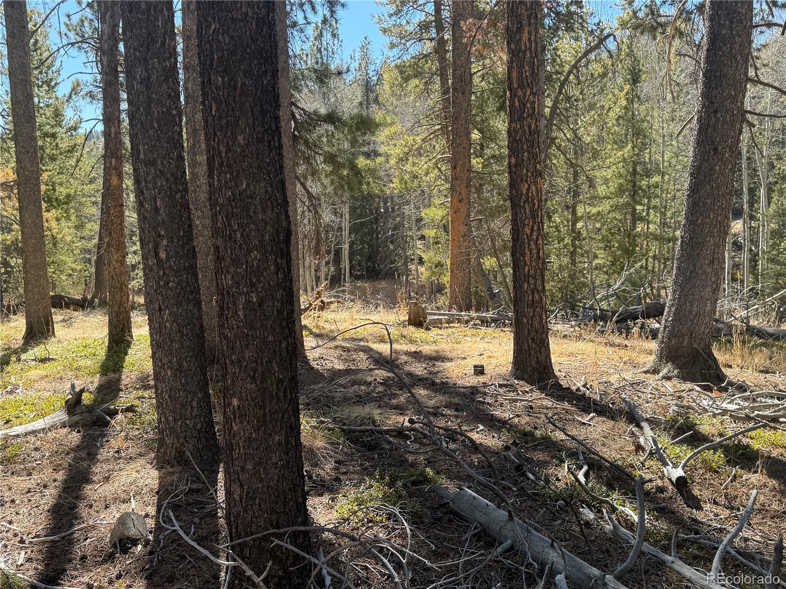 Lot 14x Wallace Avenue Conifer CO 80433