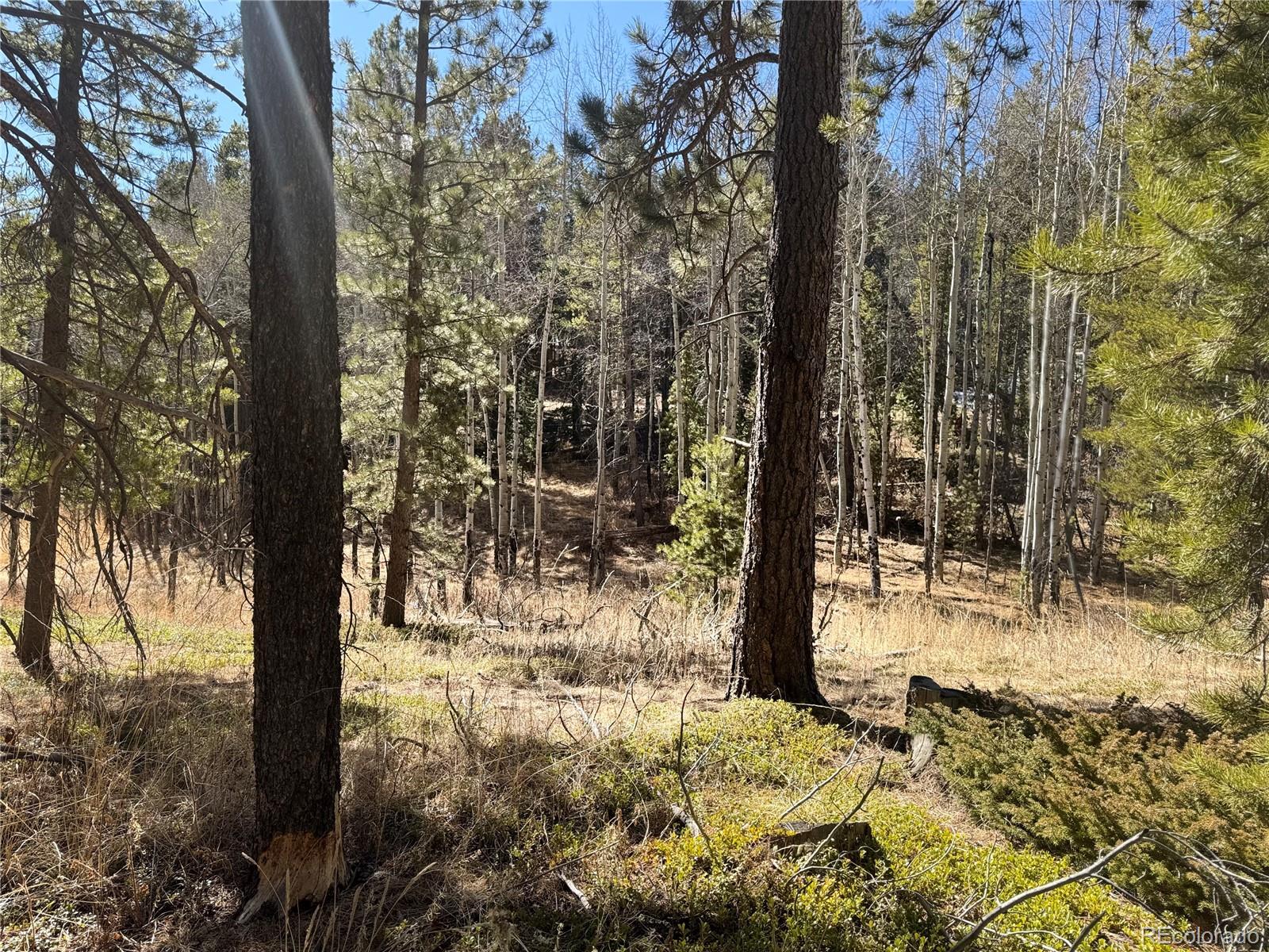 Lot 14x Wallace Avenue Conifer CO 80433
