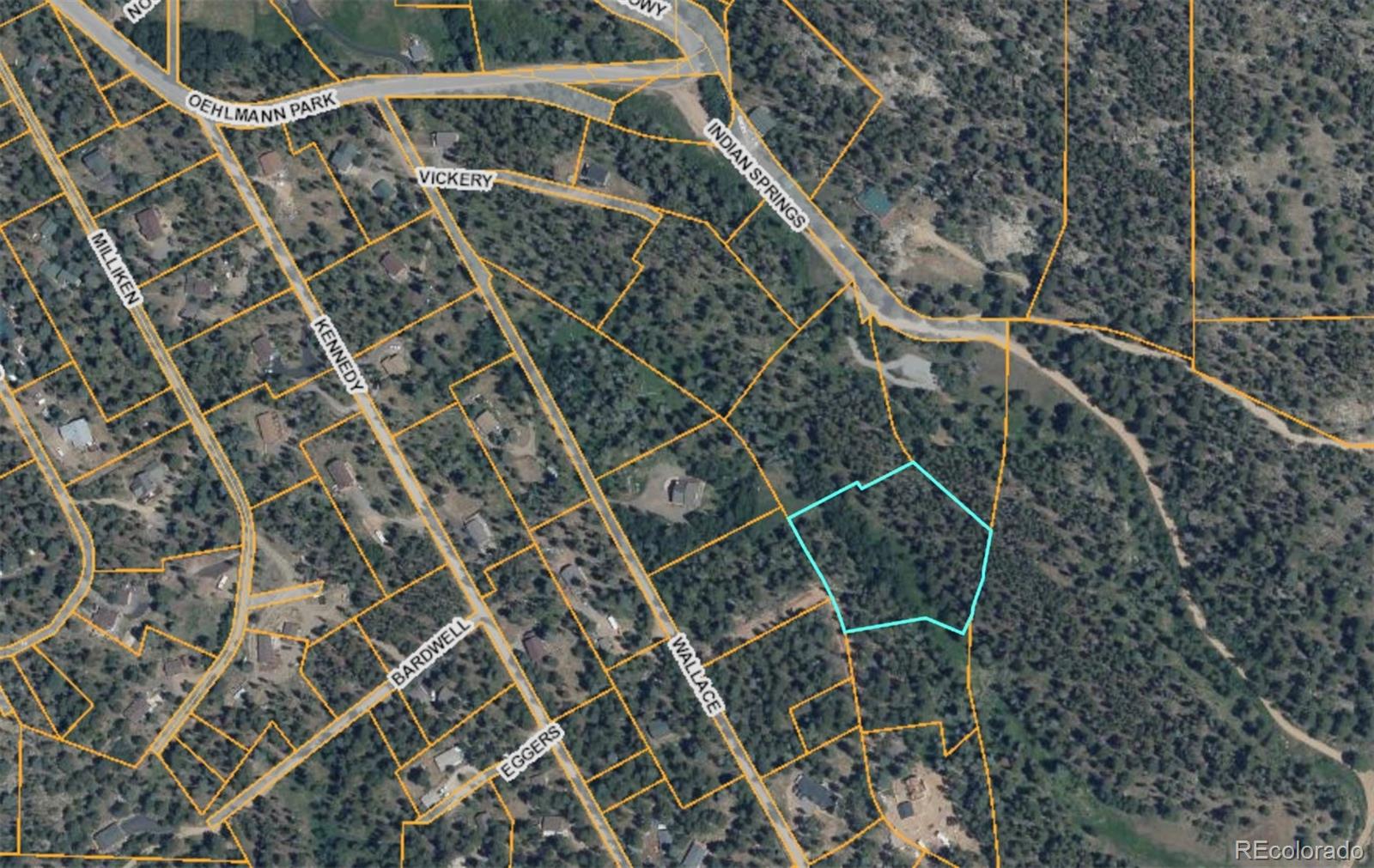 Lot 14x Wallace Avenue Conifer CO 80433