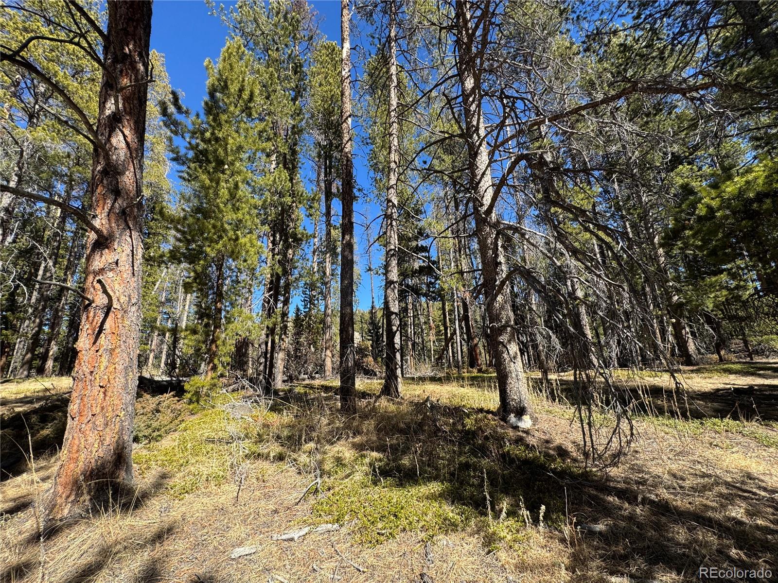 Lot 14x Wallace Avenue Conifer CO 80433
