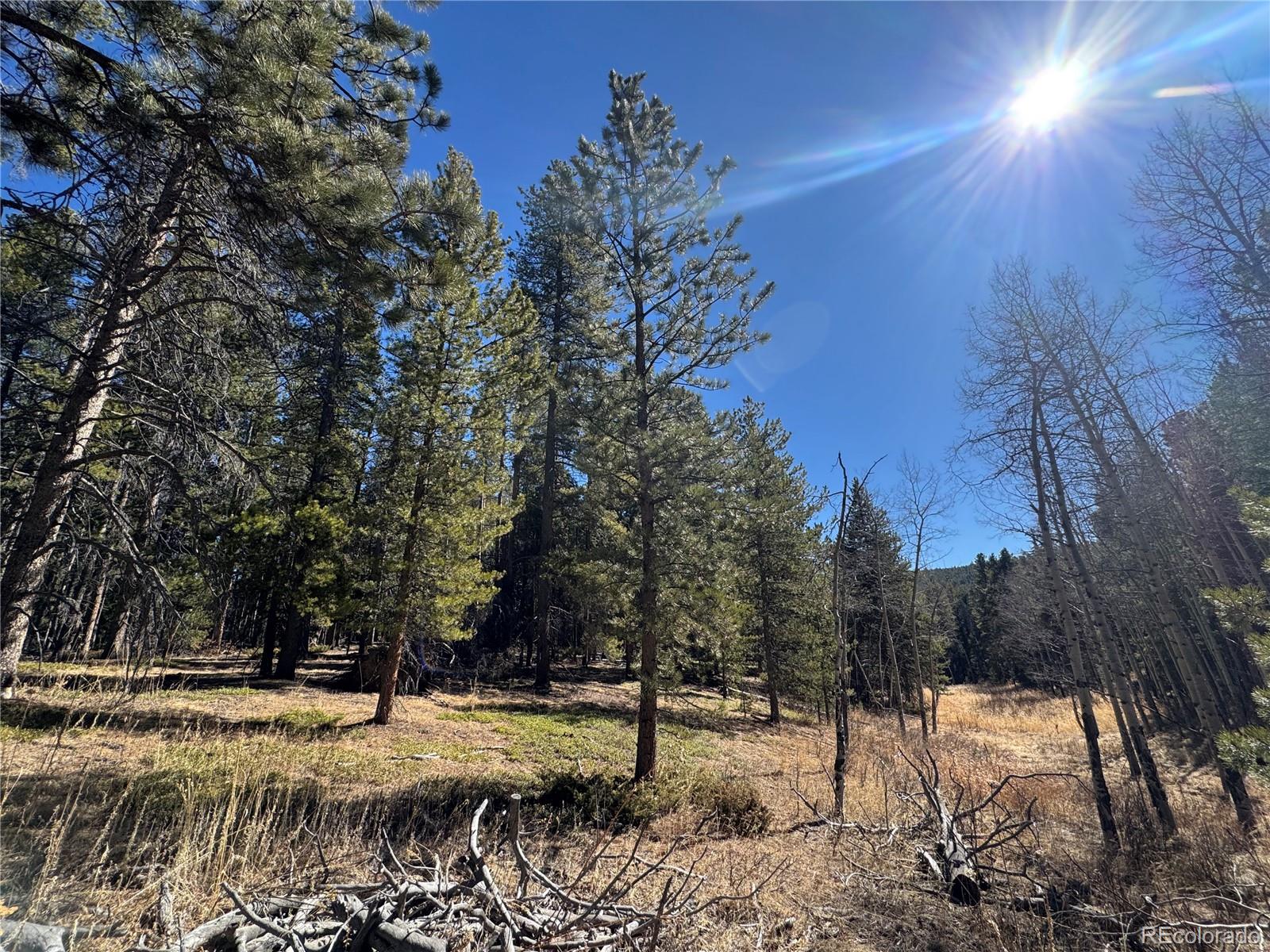 Lot 14x Wallace Avenue Conifer CO 80433