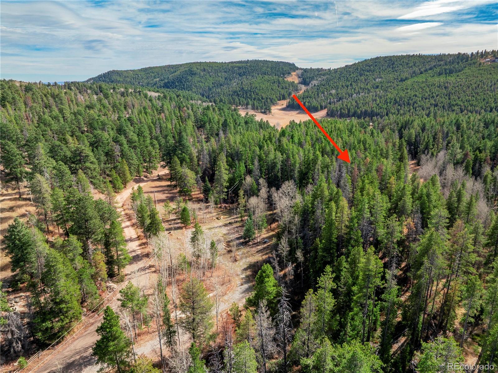 Lot 14x Wallace Avenue Conifer CO 80433