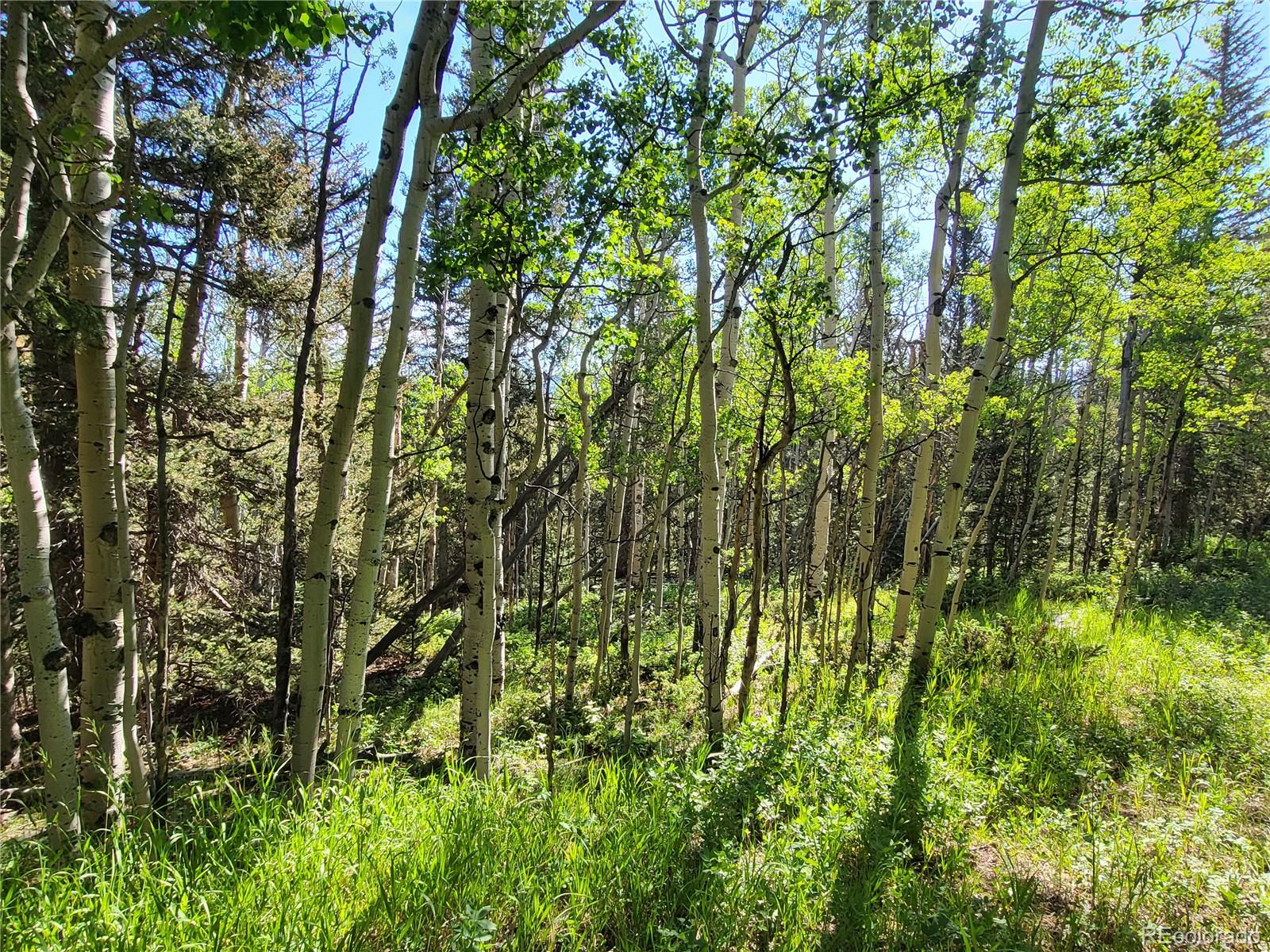 00 Michigan Hill Road Jefferson CO 80456